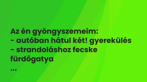 Vicces történet: 
	    	    


Az én gyöngyszemeim:


– autóban hátul két!…