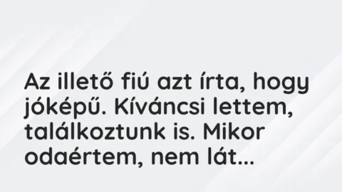 Vicces történet: 
	    	    


Az illető fiú azt írta, hogy jóképű. Kíváncsi…