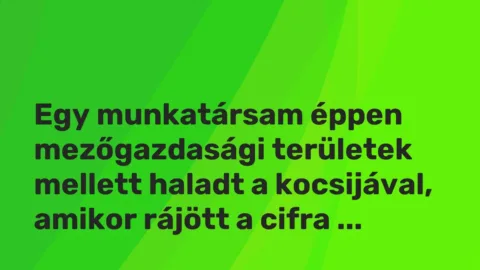 Vicces történet: 
	    	    


Egy munkatársam éppen mezőgazdasági területek…