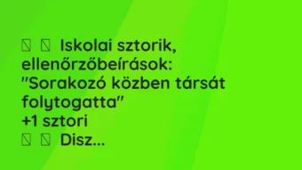 Vicces történet: Iskolai sztorik, ellenőrzőbeírások: „Sorakozó közben társát…