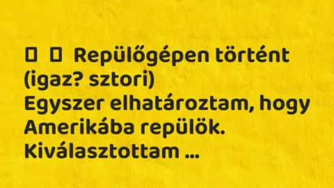 Vicces történet: 
	    	    Repülőgépen történt (igaz? sztori)


Egyszer elhatároztam, hogy …