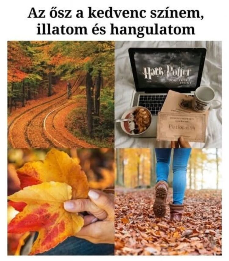 #VK1759459564