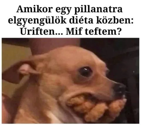#VK1760842083