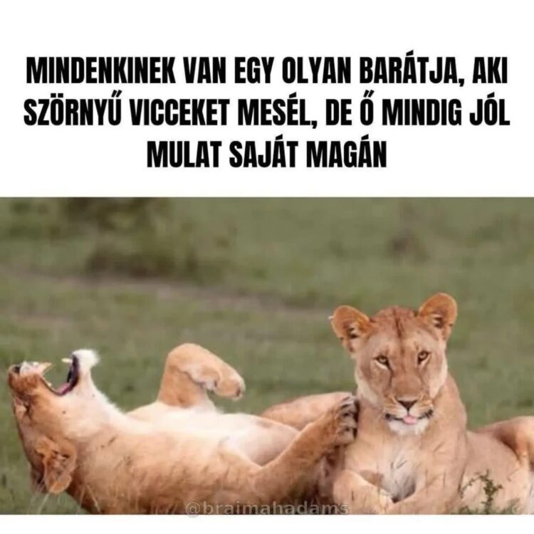 Mindenkinek van egy olyan barátja, aki szörnyű vicceket mesél? Mindenkinek van egy olyan barátja, aki szörnyű vicceket mesél?