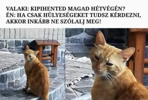 #VK1761536765