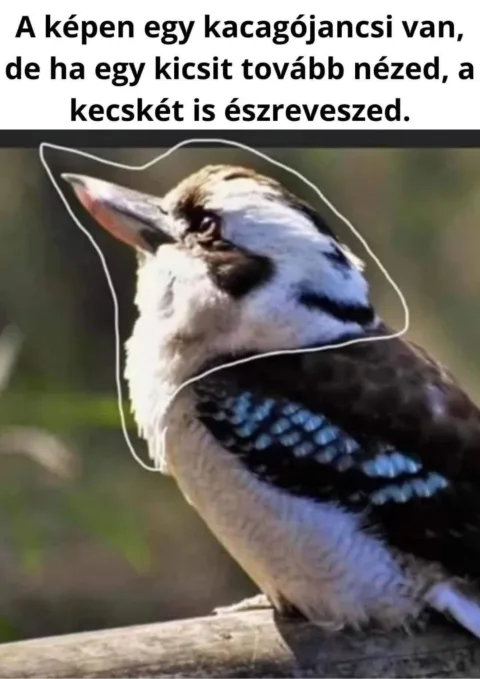 #VK1761634826 #VK1761634826
