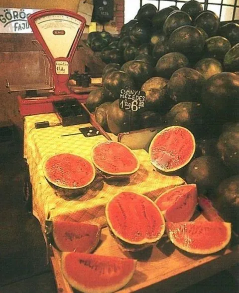 Amikor még lékelték is a dinnyét
 #RK1759584002