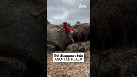 Nah ok hova ment ???  #AFV #funny #Shorts
 – videó