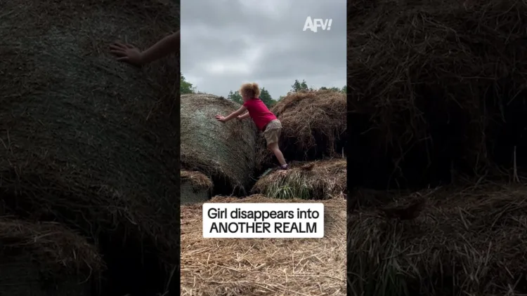 Nah ok hova ment ??? 🤣 #AFV #funny #Shorts - Nah ok hova ment ??? #AFV #funny #Shorts
– videó