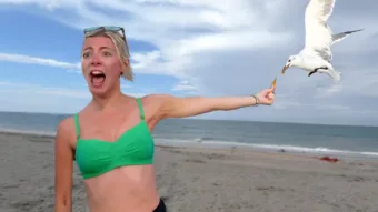 Nevetsz, elveszíted!  A hét legjobb vicces kudarcát
 – videó