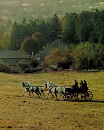 Sziasztok! Létrehoztunk egy Szilvásvárad Anno nevű csoportot, akit érdekel a tém… #RK1761854564