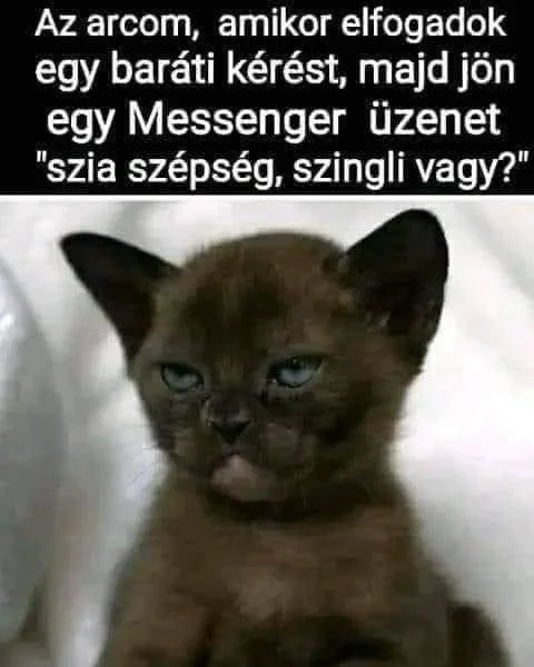 #VK1759260603