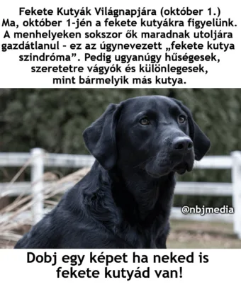 #VK1759316448