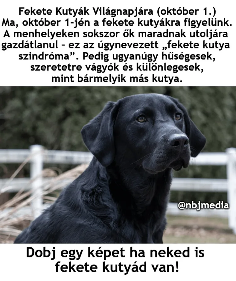 #VK1759316448