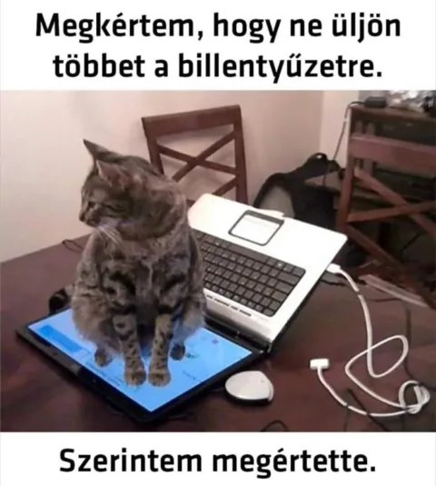 #VK1759324767