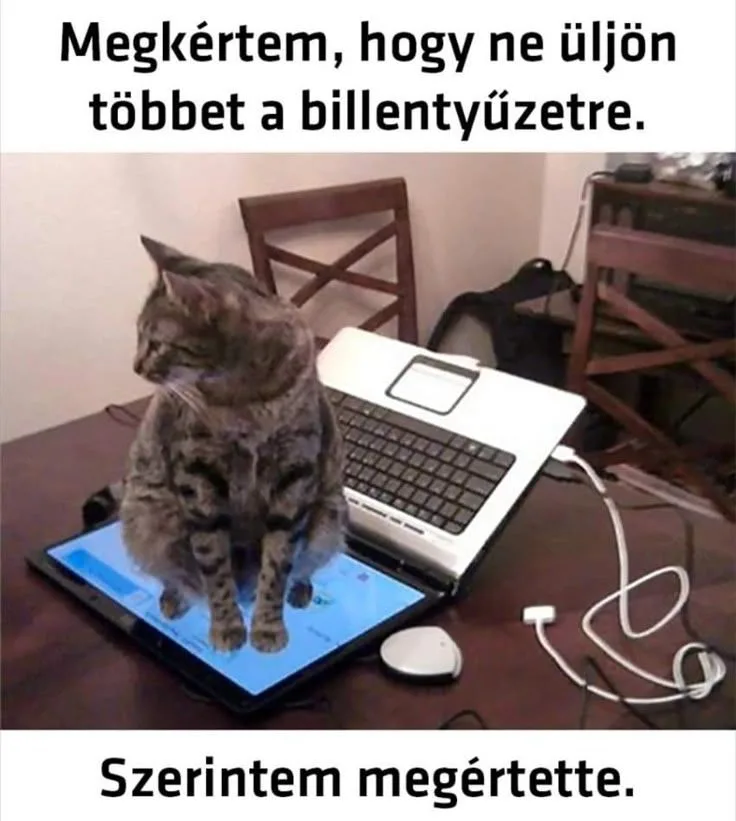 #VK1759324767 #VK1759324767