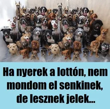 #VK1759488571