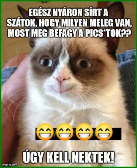 #VK1759492843