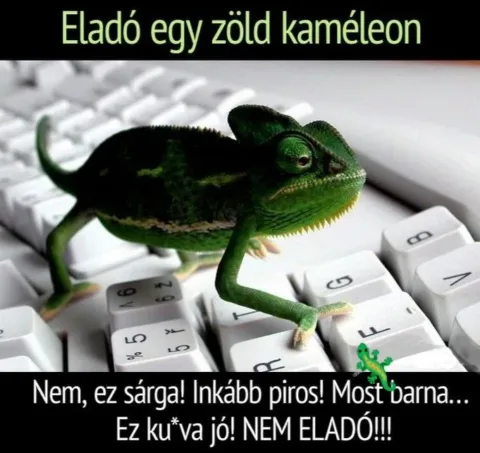 #VK1759575156