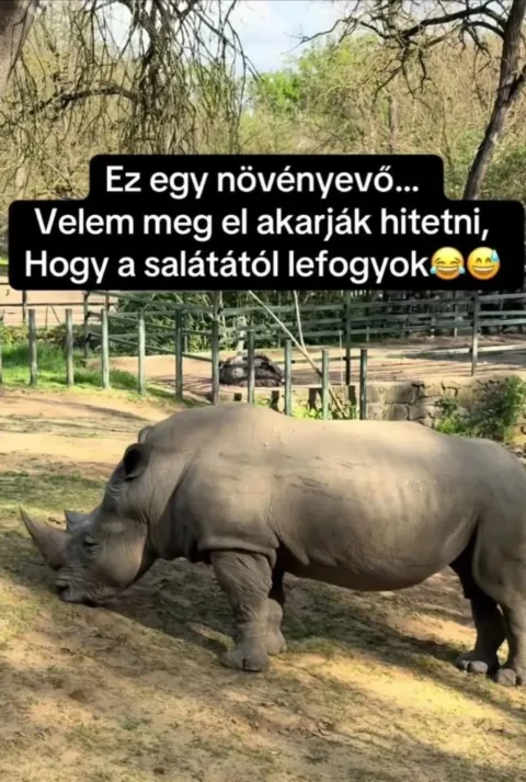 #VK1760009406