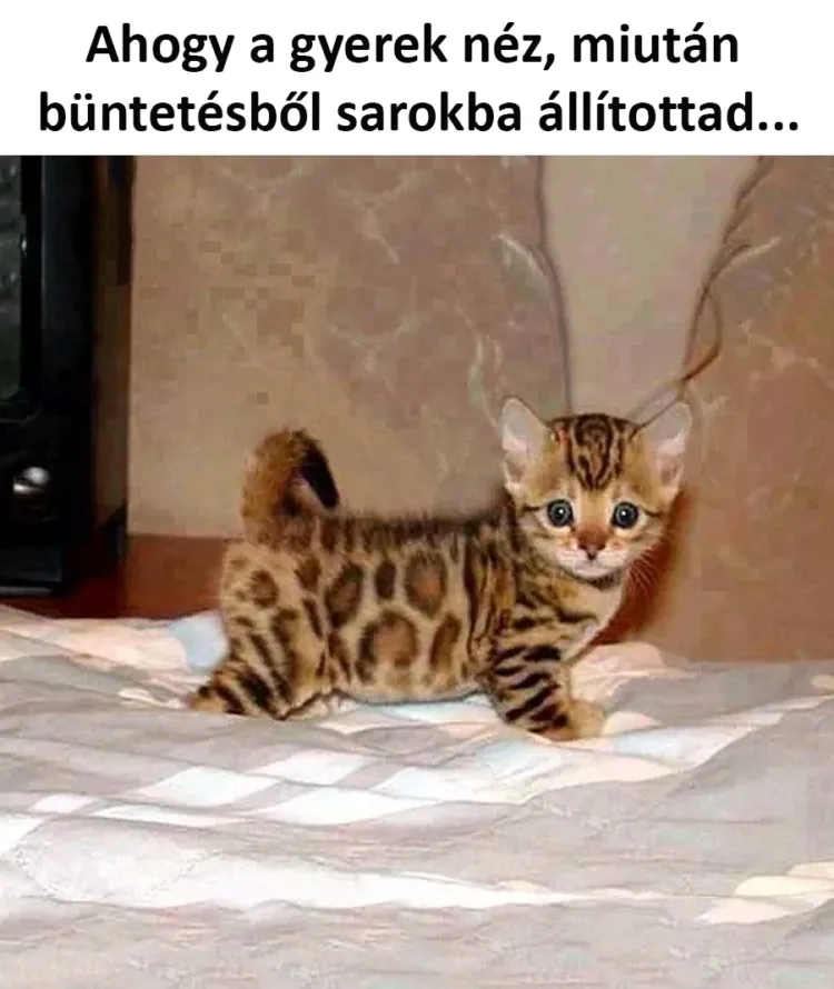 #VK1760112021 #VK1760112021