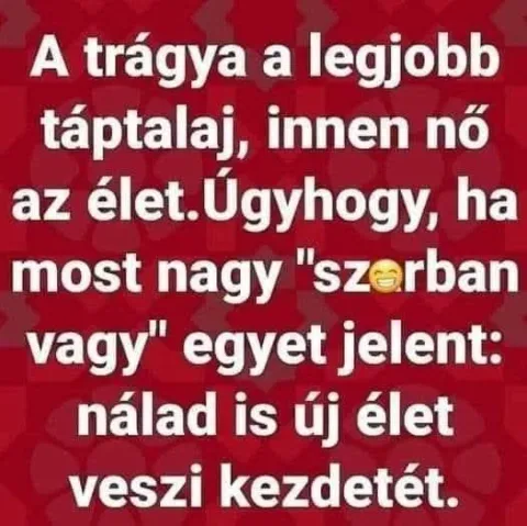 #VK1760202048