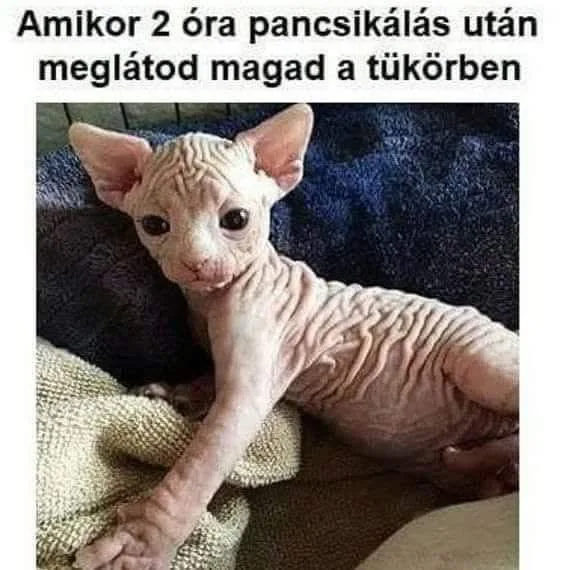 #VK1760257490 #VK1760257490