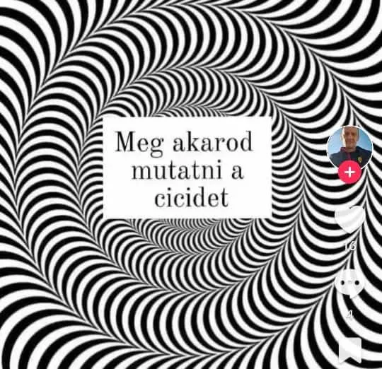 Meg akarod mutatni a cicidet Meg akarod mutatni a cicidet