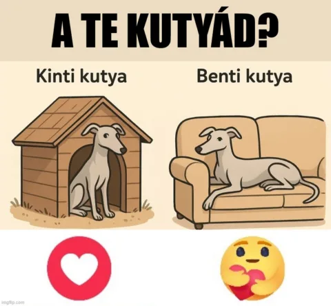 #VK1760266015