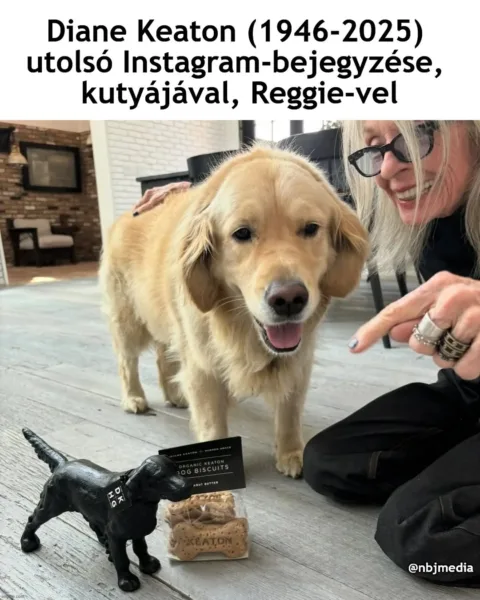 #VK1760266667