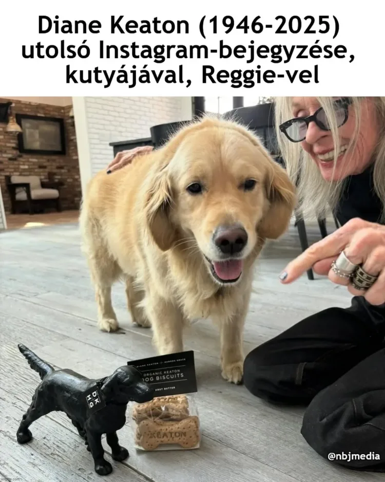 #VK1760266667 #VK1760266667
