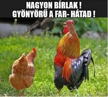 #VK1760428847 #VK1760428847