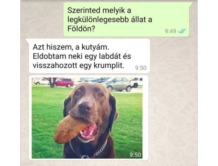 #VK1760444140 #VK1760444140