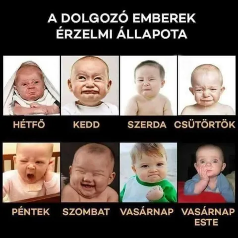 #VK1760515253