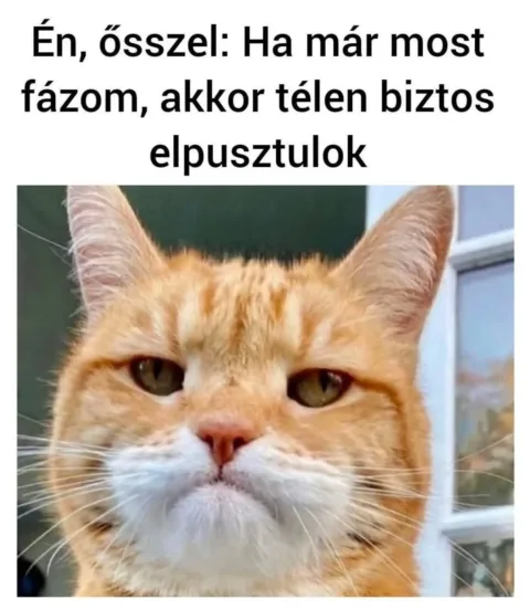 #VK1760558486