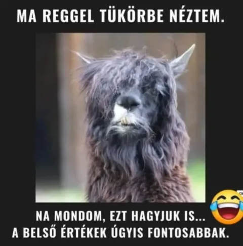 #VK1760673277