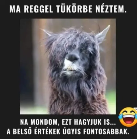 #VK1760673298