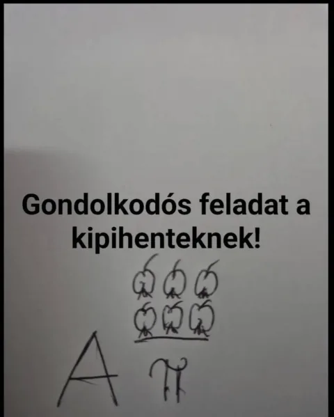 #VK1760862944