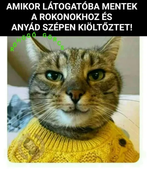 #VK1760863009