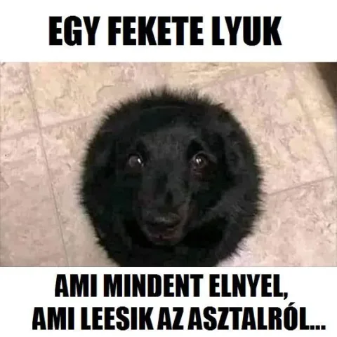 #VK1760956687