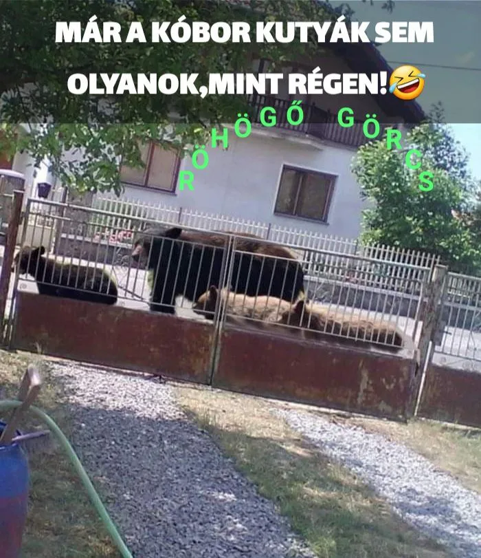 #VK1761039153 #VK1761039153