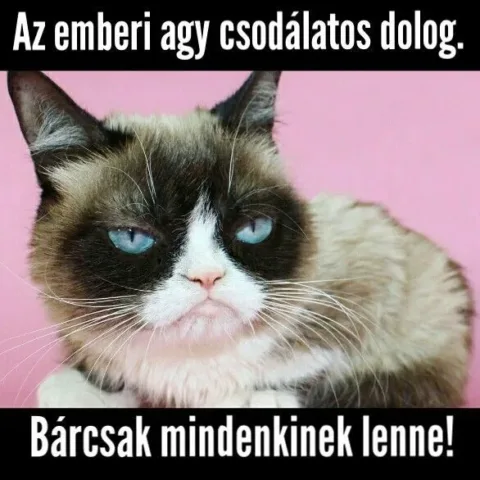 #VK1761120045