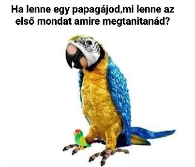 #VK1761130578