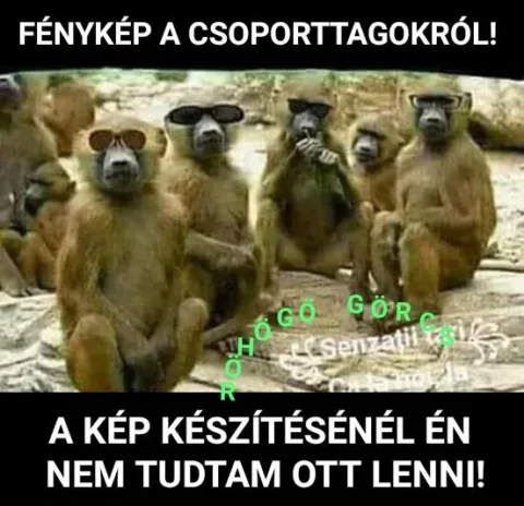 #VK1761202963