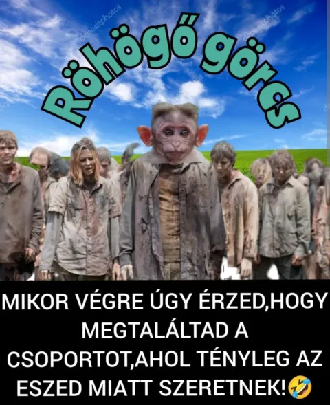 Mikor végre úgy érzed, hogy megtaláltad a csoportot?