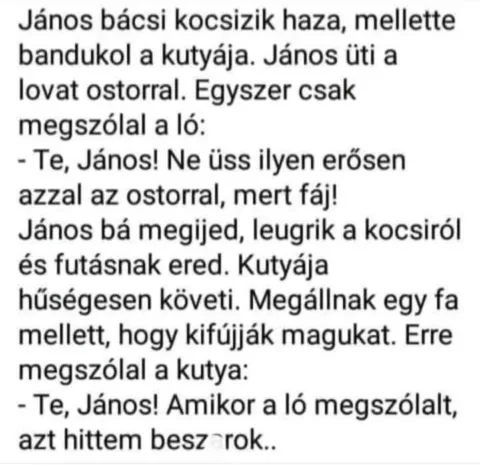 #VK1761246011