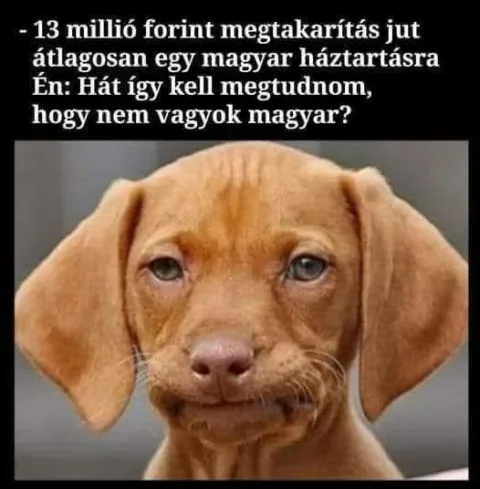 #VK1761247806