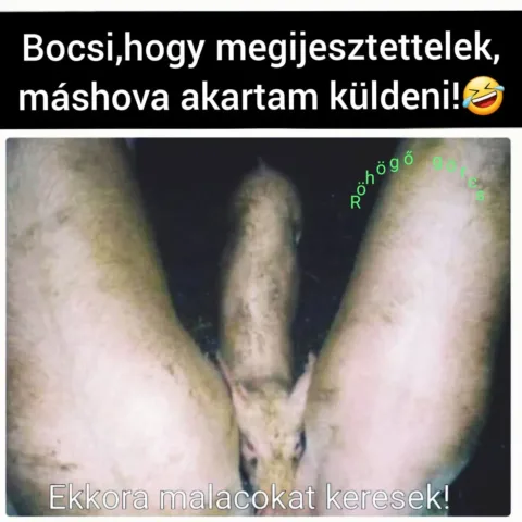 #VK1761288212