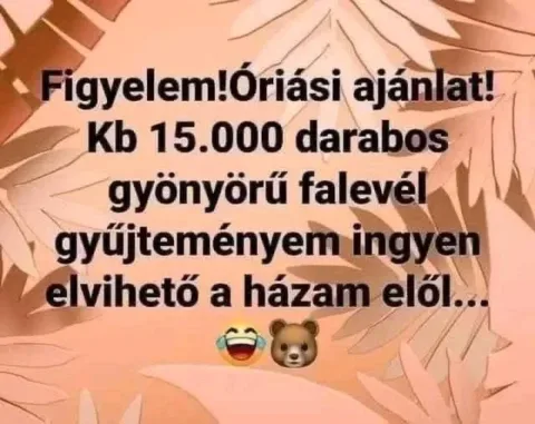 #VK1761297642