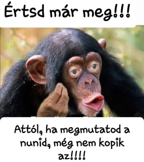 #VK1761301433